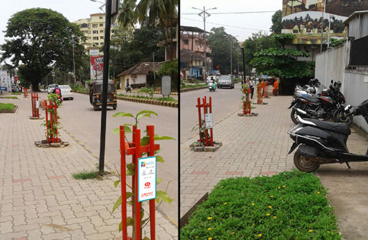 Mangalore Flower City